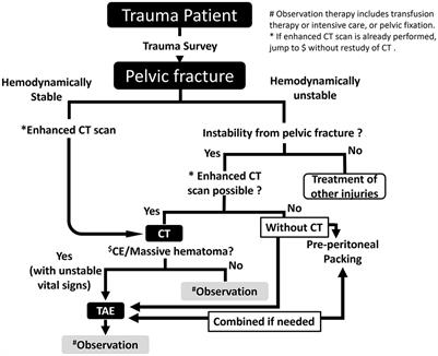 A short decision time for transcatheter embolization can better associate mortality in patients with pelvic fracture: a retrospective study